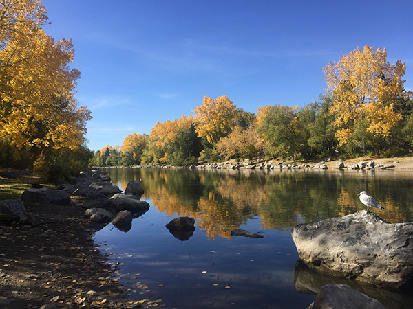原油价格持续低迷 能源重镇卡尔加里欲多元化