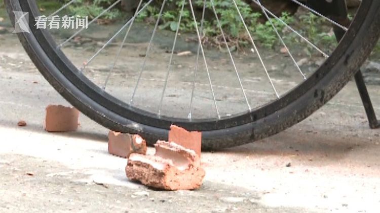 视频|熊孩子骑共享单车成风 开锁不成竟用砖