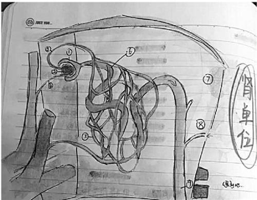 钱烨楠的科学笔记。