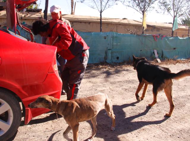 每天打300个电话,却不往家里打一个,想不到你