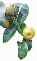 【奋进这5年 精彩看湖南】永州成功创建国家级出口食品农产品质量安全示范市纪实