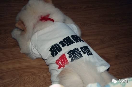 烦恼