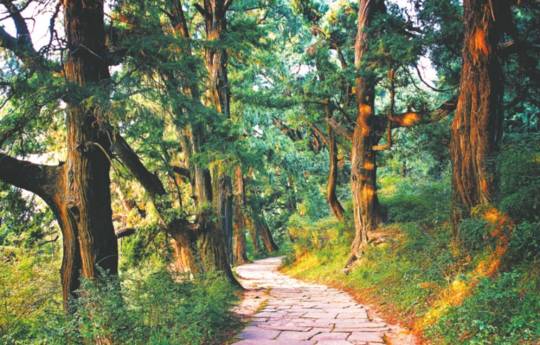 门关!在这条最美赛道上跑一场马拉松是什么样