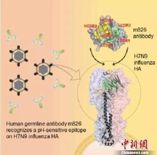 【打卡】《不忘初心 继续前进》专题 第四集 凝