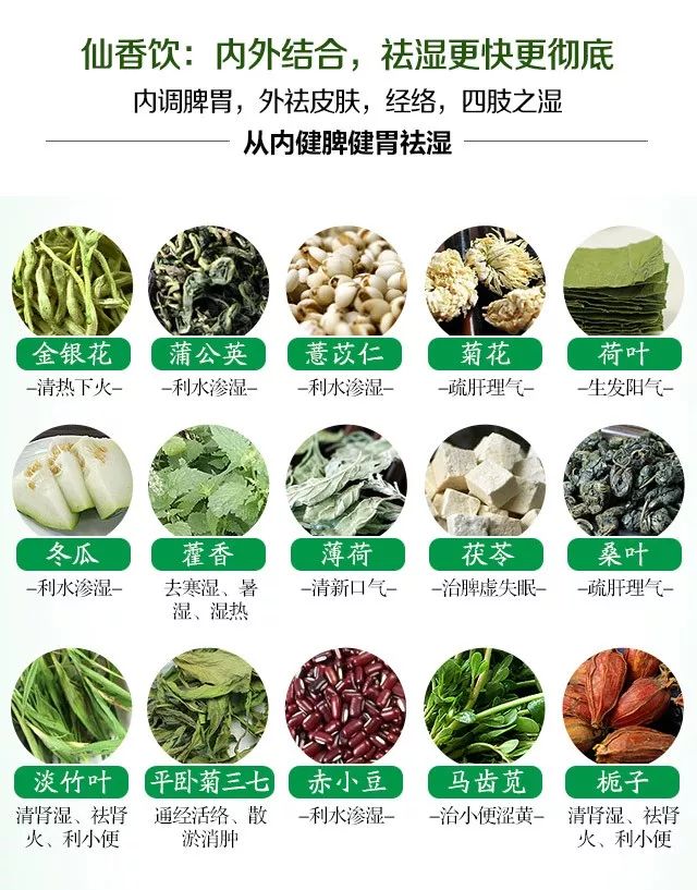 湿气重必吃它,痰多,头脸油腻便秘要吃它,水肿肥