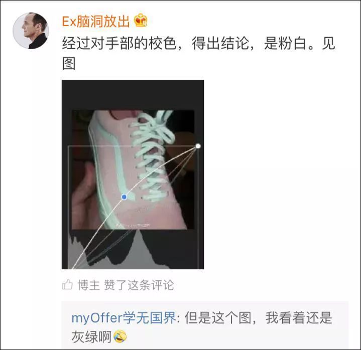 粉白还是灰绿?继白金蓝黑裙子后,又一图片让我