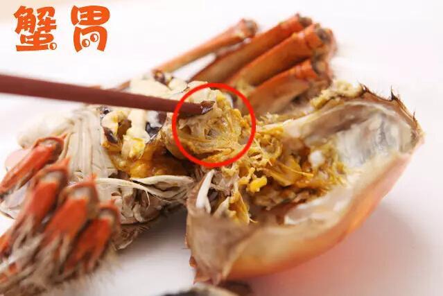 但是吃螃蟹也要了解一下基本常识,做足功课比较好,因为海鲜类东西都是