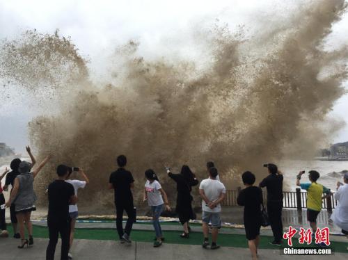 9月14日,受台风“泰利”影响,浙江温岭石塘掀巨浪。中新社记者 张琦 摄