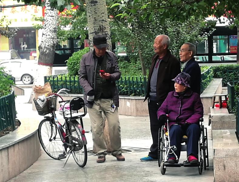 土门小树林旧貌换新颜 成西安市民休闲好去处