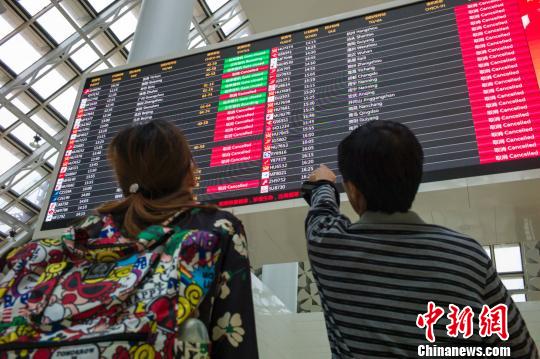 图为两位游客在海口美兰国外机场稽查航班信息,电子表现屏上大片面航班现已被打消。 骆云飞 摄