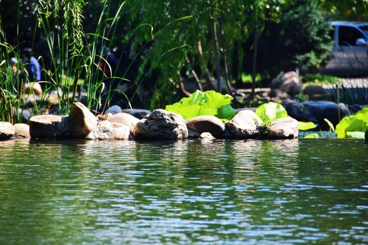 藏身于哈尔滨的国家3A景区校园,朋友圈热传
