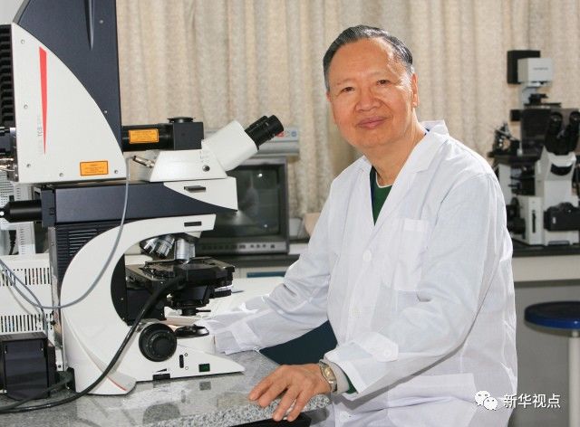日本香蕉在线观看视频