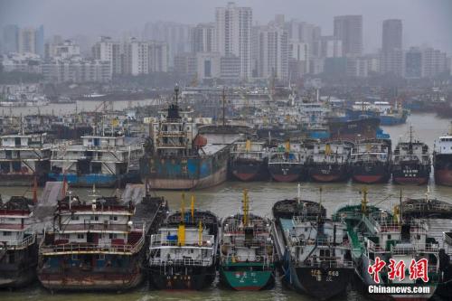 10月15日，海口新港码头停靠着众多回港避风的船只。中新社记者 骆云飞 摄