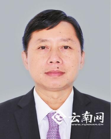 卫岗