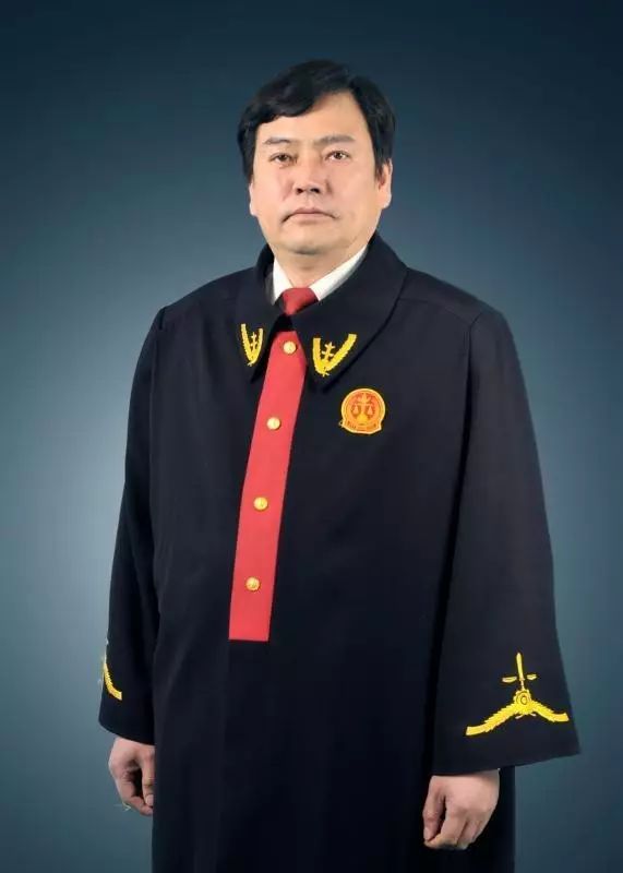 扎根基层二十载的"百姓法官"——记南京市江宁区淳化法庭庭长陈敏