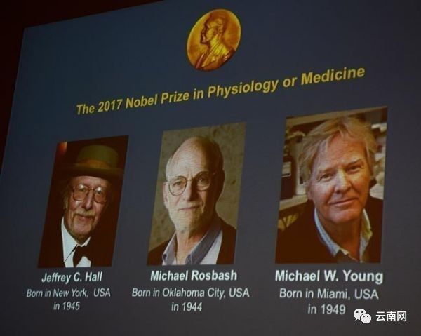 毁容变丑 视力骤降 甚至猝死.熬夜到底有多可怕