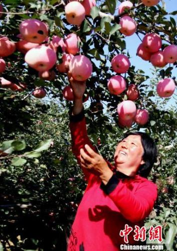 烟台多举措精准扶贫 3年贫困人口减少近14万(