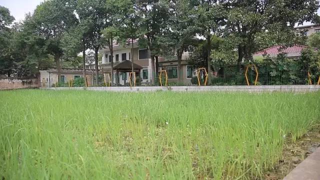 未来如何养活120亿人口_人口普查(2)