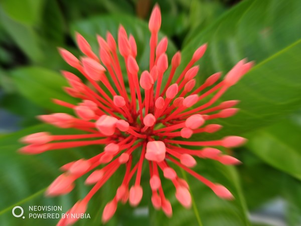 努比亚Z17S评测 最接近全面屏的国产旗舰|努比