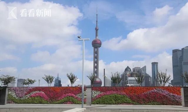 申城花团锦簇喜迎十九大 750万盆鲜花扮靓城市