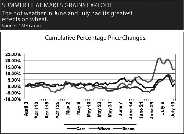 全球谷物价格影响因素分析|粮食|期货|马尔萨斯