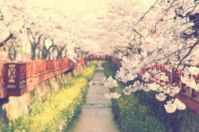 【经济日报丨财经早餐】2017年10月17日星期