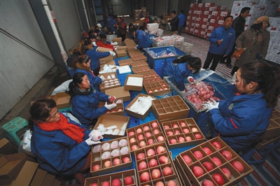 农业部发布会点赞村淘 洛川苹果 精准扶贫|农产