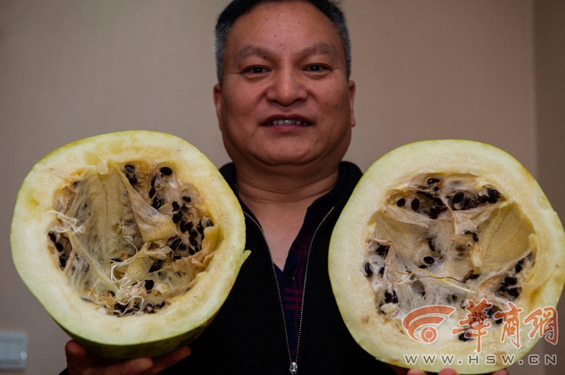 专家: