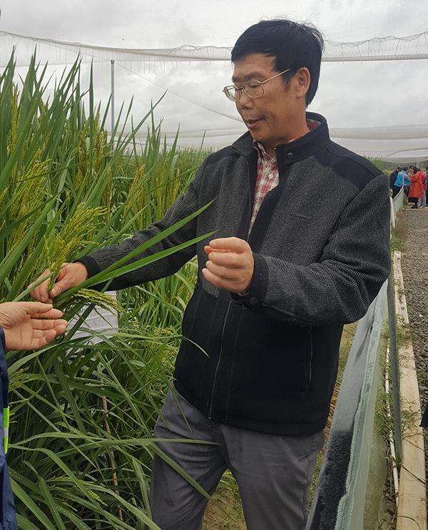 夏新界.