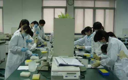 89亿经费公布!国家重点研发计划清单上,这两个