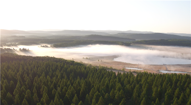 视频 | 塞罕坝机械林场:三代人用55年做成了一