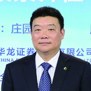 华龙证券董事长_华龙证券