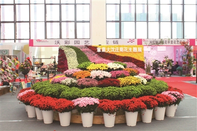 花乡沭阳打造江淮生态经济区花木世界|沭阳|花