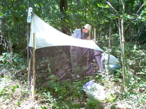 英媒:研究称昆虫急剧减少警示生态末日临近|
