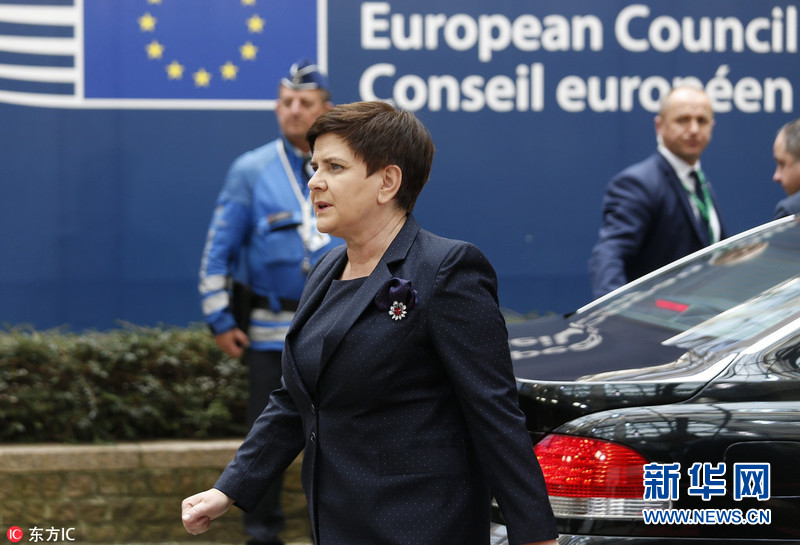 欧盟峰会在布鲁塞尔举行 多国领导出席(组图)|