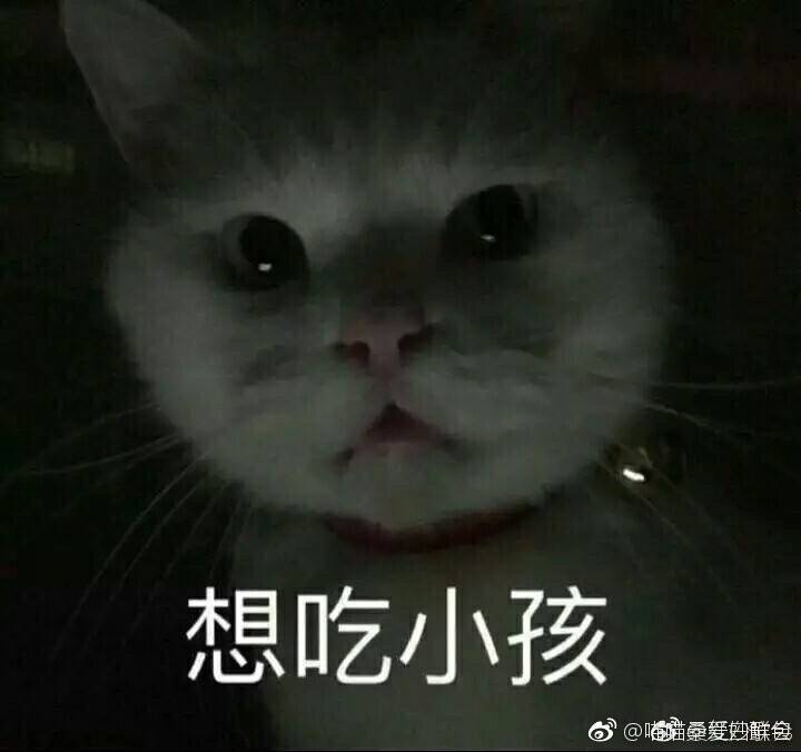 你连表情里猫的名字都不知道,还敢说爱猫?表情包听懂图不图片