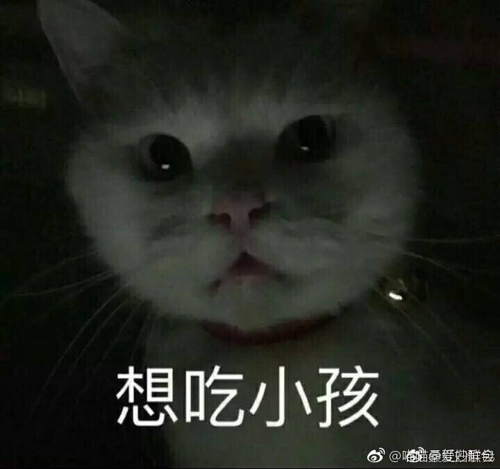 你连表情包里猫的名字都不知道,还敢说爱猫?|喵