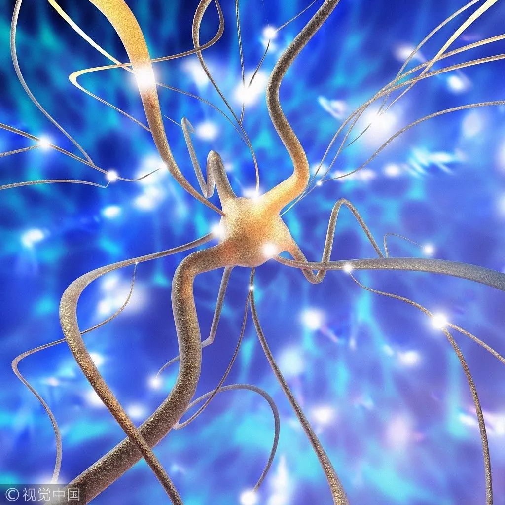 年人补太多铁却不一定…丨知识帖|视觉中国|补