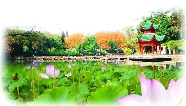 中南大学到底有多可怕？看完彻底腿软了！