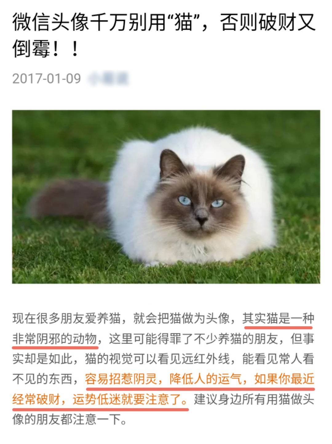 妈妈：“微信头像不能用猫，赶紧给我换了！”