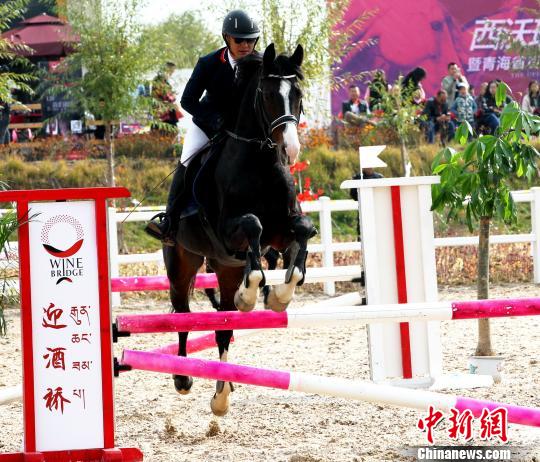 图为骑手参加场地60cm-90cm障碍赛。 张添福 摄