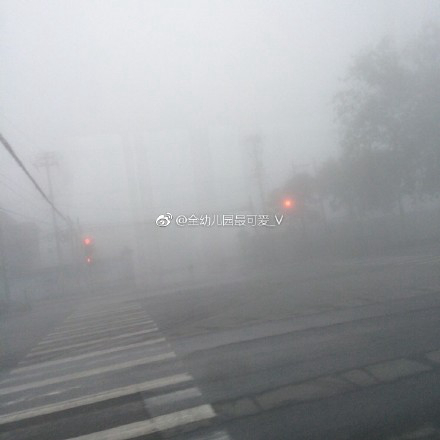 今晨,北京雾气弥漫。图片泉源:微博网友@全幼儿园最可爱_V