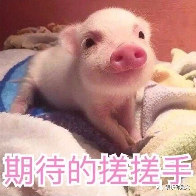 命令说他好看,还是说他一般!这位的v命令镜像蛮大的路人粉丝的操作步骤图片
