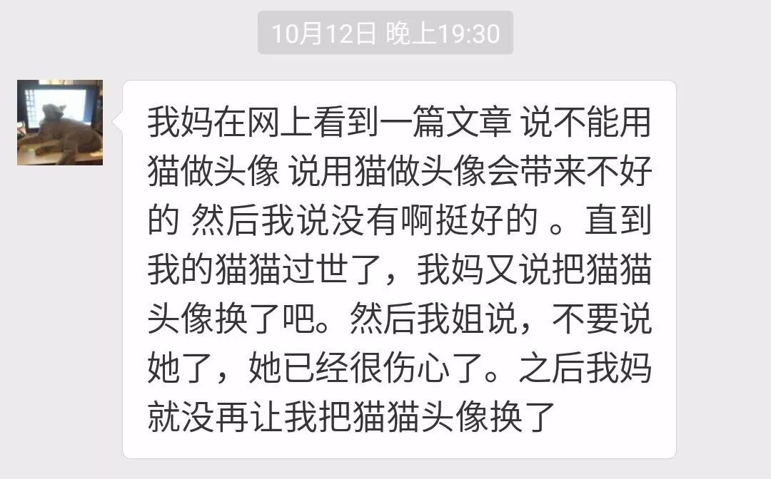妈妈：“微信头像不能用猫，赶紧给我换了！”