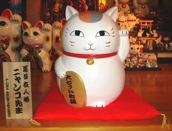 妈妈：“微信头像不能用猫，赶紧给我换了！”