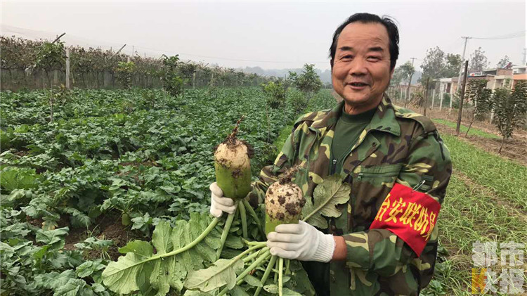 　　种三亩菜地不为买卖，想捐赠圆心愿。