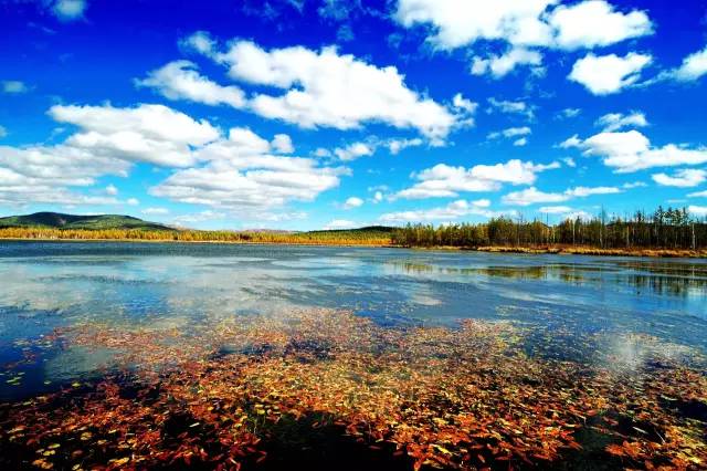 它是中国人口最小的城市,却美得像个意外!|阿尔