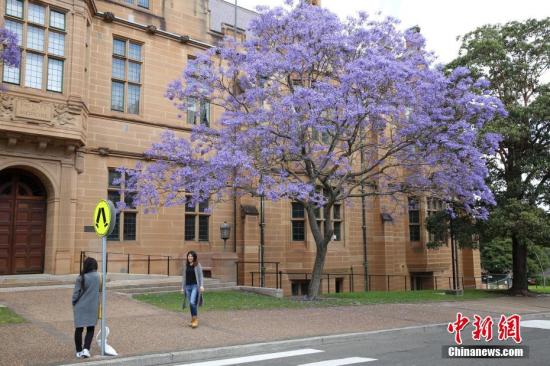 资料图为悉尼大学校园。<a target='_blank' data-cke-saved-href='http://www.chinanews.com/' href='http://www.chinanews.com/'>中新社</a>记者 陶社兰 摄