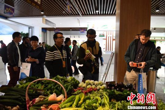 中外记者河北探访首个投入运营的北京外迁产业