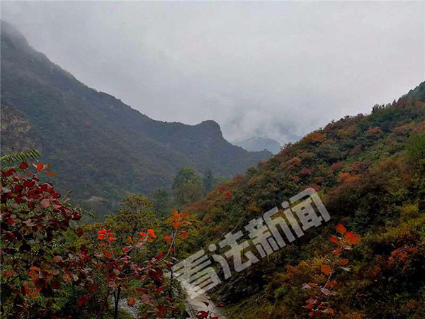 20人进山赏红叶被困 警方:没经验别爬野山